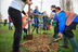 /cache/images/tree_planting_max_mcclure_0722_0_007084b04830.jpg